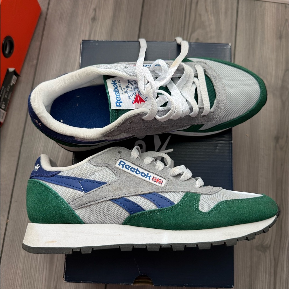 Reebok Men’s Green, Gray & Blue Retro Low-Top Sneakers